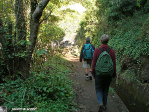 9008_Levada_do_Norte