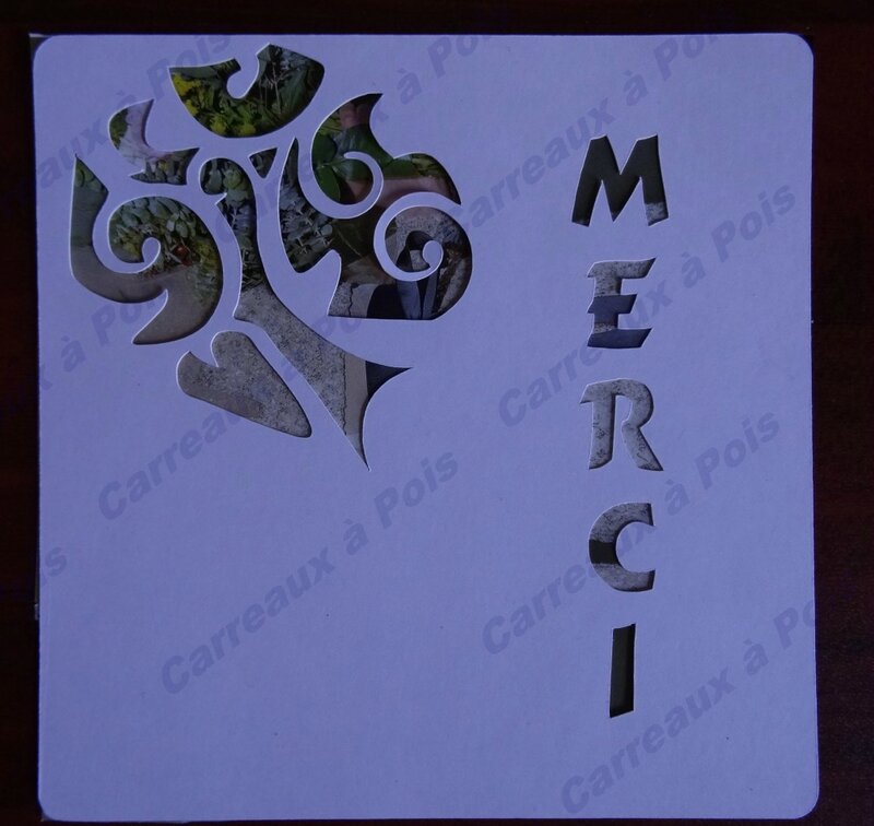 carte merci (5)