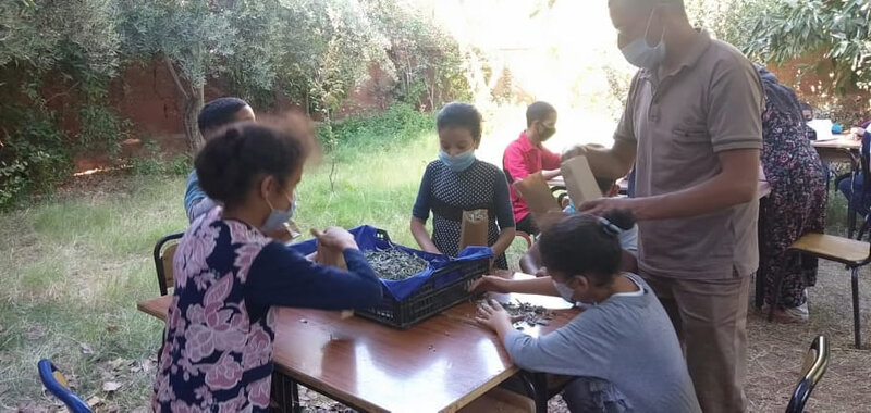 L'organisation de la mise en sachets