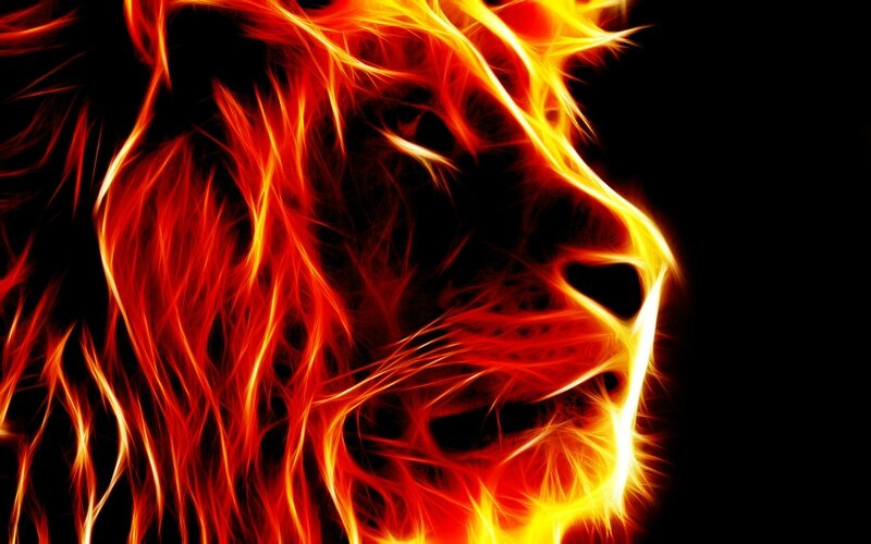 Lion roi