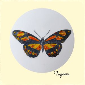 papillon transparent noir modèle C orange et jaune