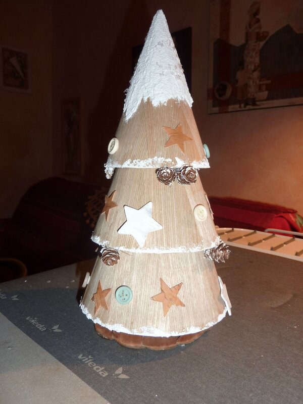 sapin 2013 (2)