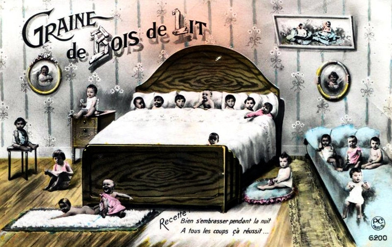 Graines de Poilus Lit3