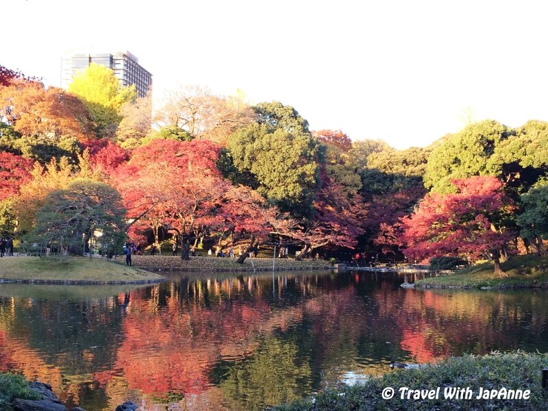 Jardin Koishikawa Korukuen Tokyo 3 Travel With Japan