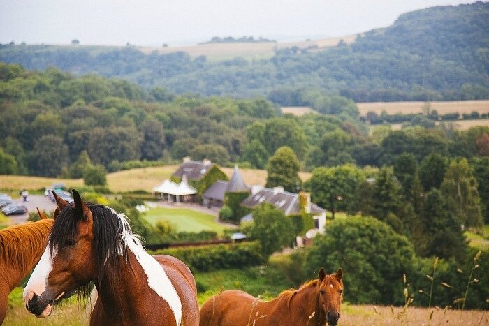 suisse-normande-golf-clecy-28-700x467