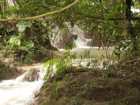 RUISSEAU_ET_CASCADE_ET_NATURE