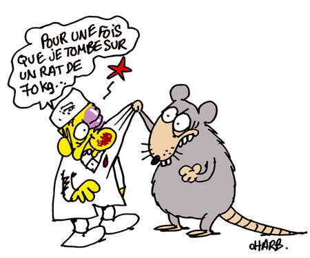 1010_charb_rats