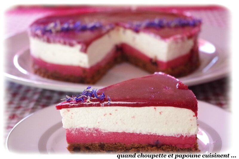 bavarois fruits rouges mousse chocolat blanc-7184