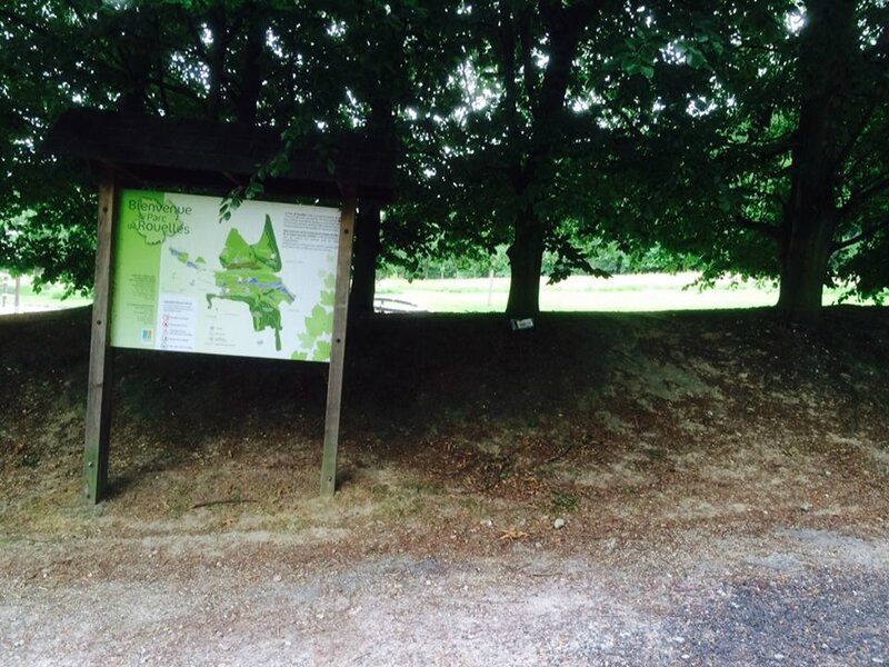 bookcrossing 2