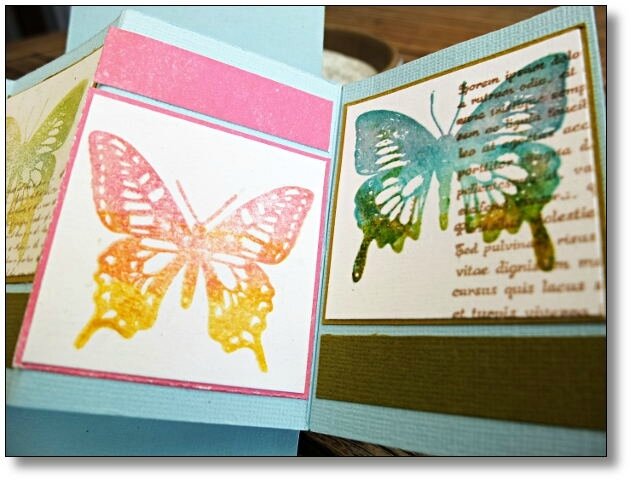 carte déployée papillons 3