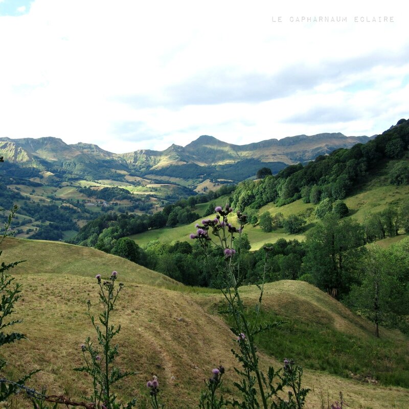 Pas de Peyrol 5