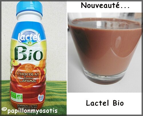 Lactel Bio chocolat
