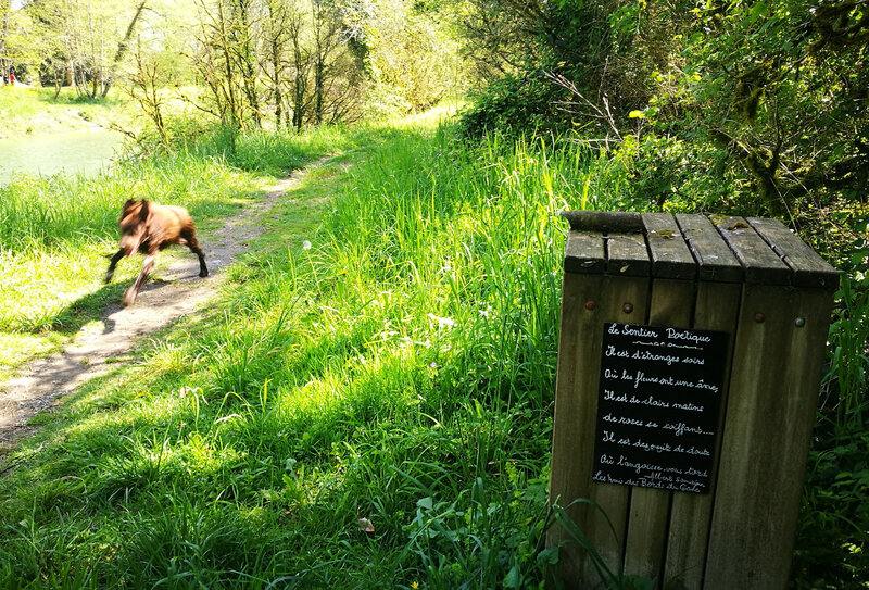 Sauveterre-De-Béarn, sentier des poètes et Nisca (64)