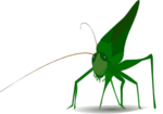 11971195091470356791emeza_grasshopper_svg_med