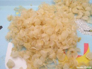 Peaux de pois-chiche. Anne. Papilles et Pupilles