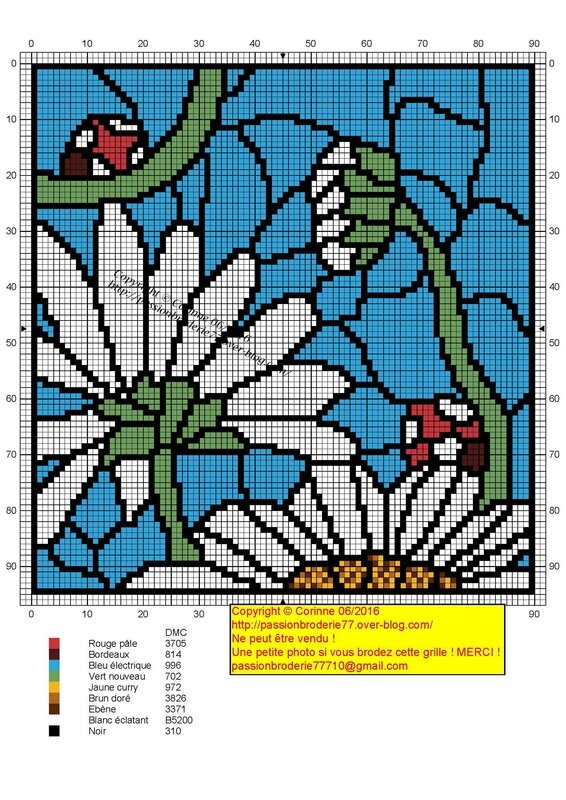 Marguerites cocci