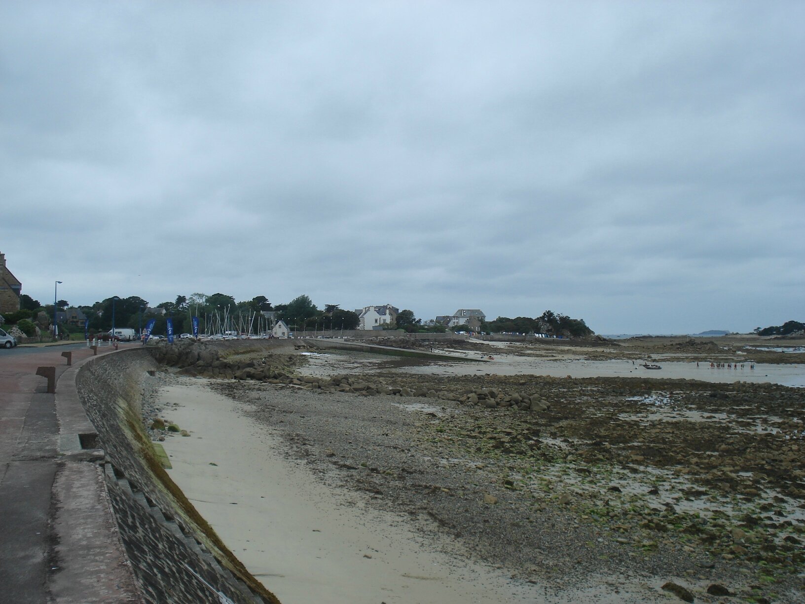DSC06177