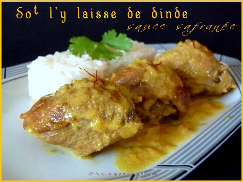 sot l'y laisse de dinde (34)