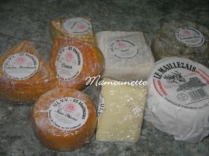 Laiterie_fromagerie_de_Maillezais_en_Vend_e_007