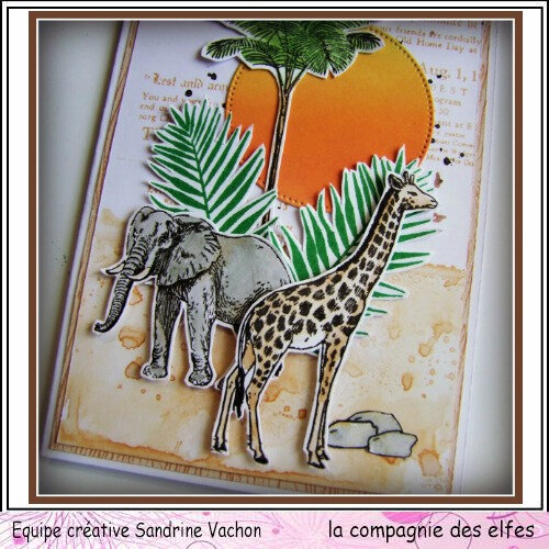 Carte animaux VACANCES dt LCDE (3)