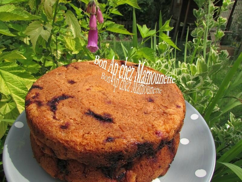 gâteau aux framboises et rhubarbe du jardin 023