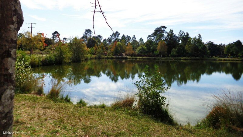 Etangs de Ste Foy et de Gaillères 151016