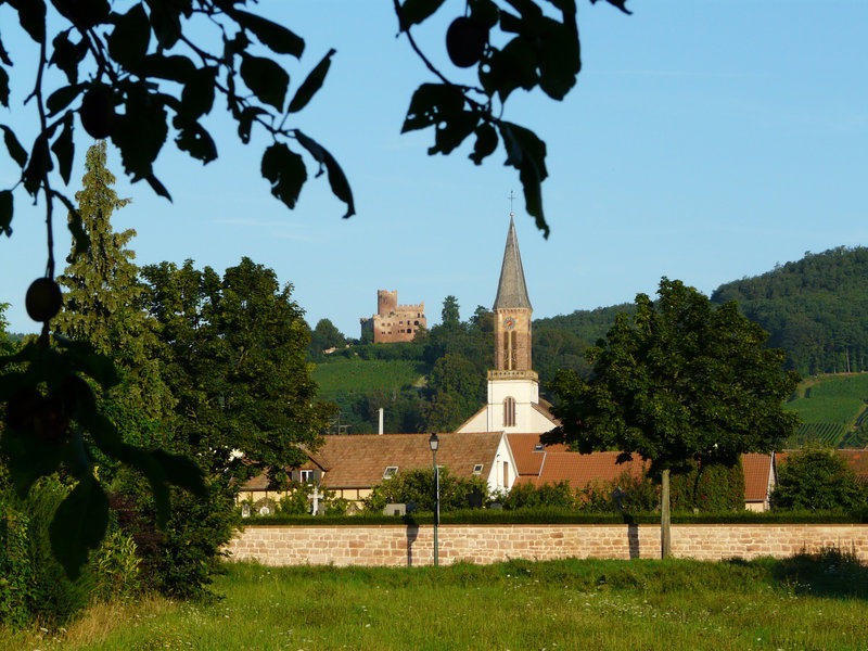 Kintzheim (4)
