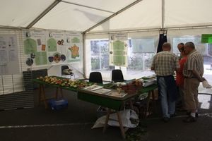 fêtes des trois quartiers Avranches 2012 expo sur les pommes