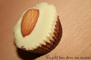 Ptits chocolats noisette, amande, noix de pécan ou céréales recettes dessert Ptits chocolats noisette, amande, noix de pécan ou céréales