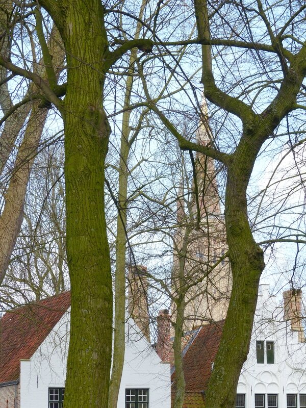 BRUGES le béguinage 27 mars 2015 (46)