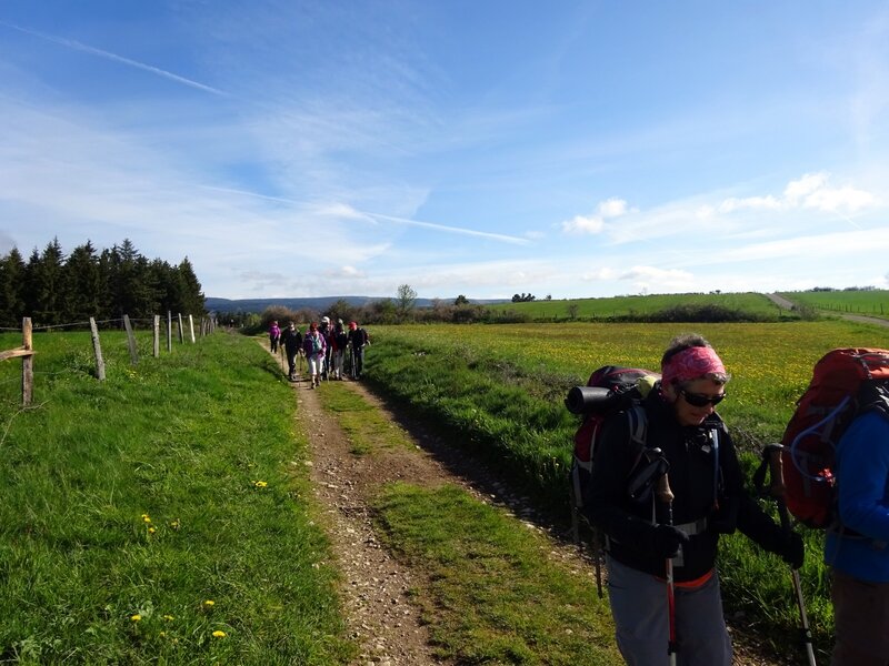 Chemin tranquille