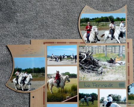 cam_200942b3