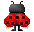 insectes-coccinelle-00007