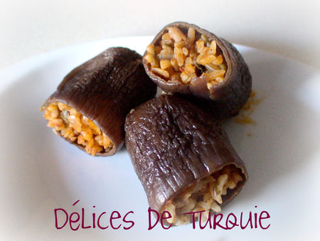etsiz_kuru_patlican_dolmasi_1