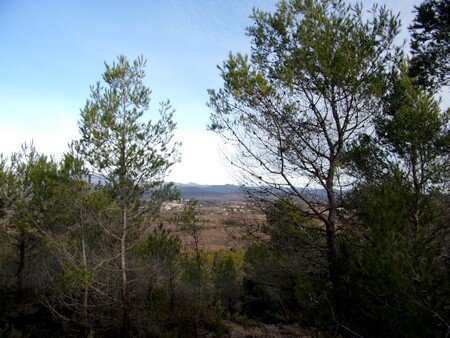 dim_29_janv_2017__en_montant_vers_Pompignan_01