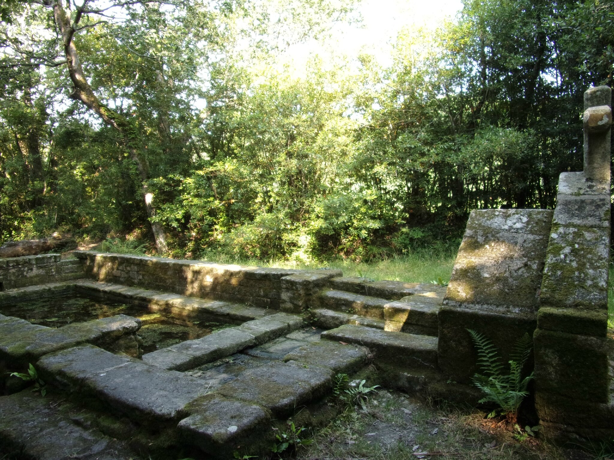 RIMG0013