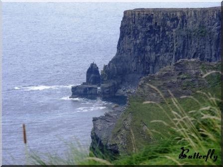 Moher3