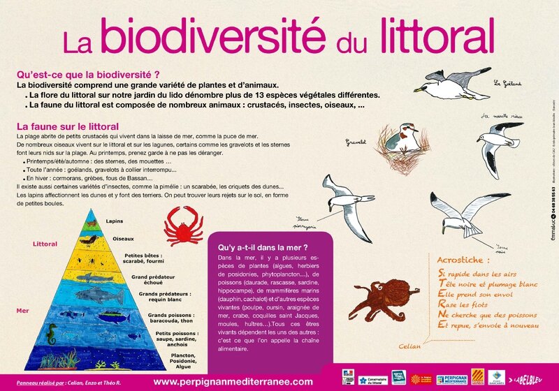 panneau biodivJL Barcarès 2014_Page_2