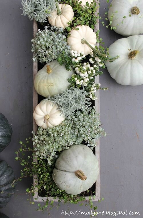 2582799f60152a377d9aa53c2626e77f--white-pumpkin-centerpieces-autumn-centerpieces