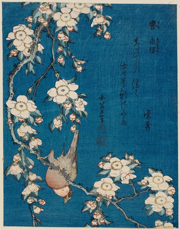 Katsushika Hokusai Bullfinch and weeping cherry
