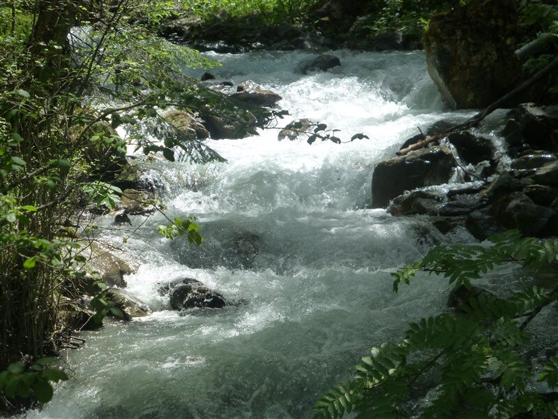 P1140980