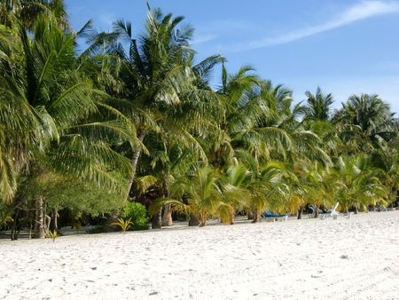 baguette-plage