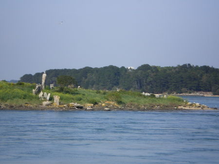 Golfe_du_Morbihan_et__le_aux_moines_148