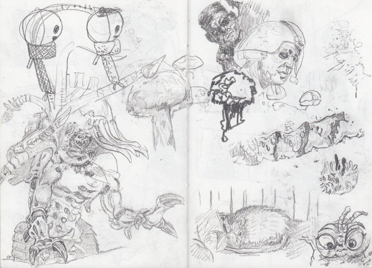 carnet 25-26