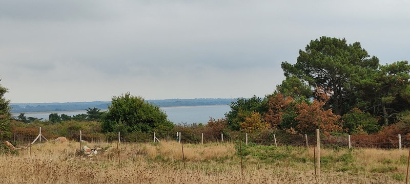 IMG_20220815_173822