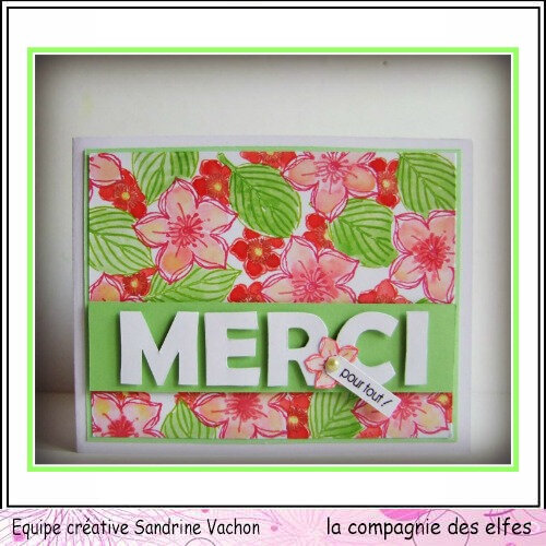 Cartes MERCI POUR TOUT dt LCDE (3)