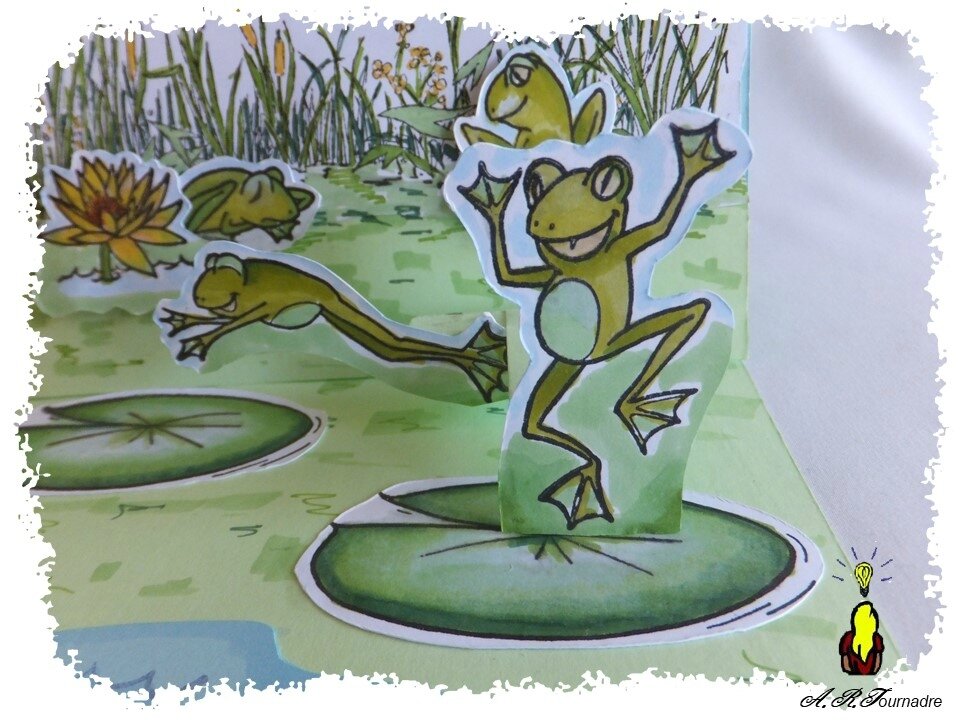 ART 2017 05 mare aux grenouilles 7