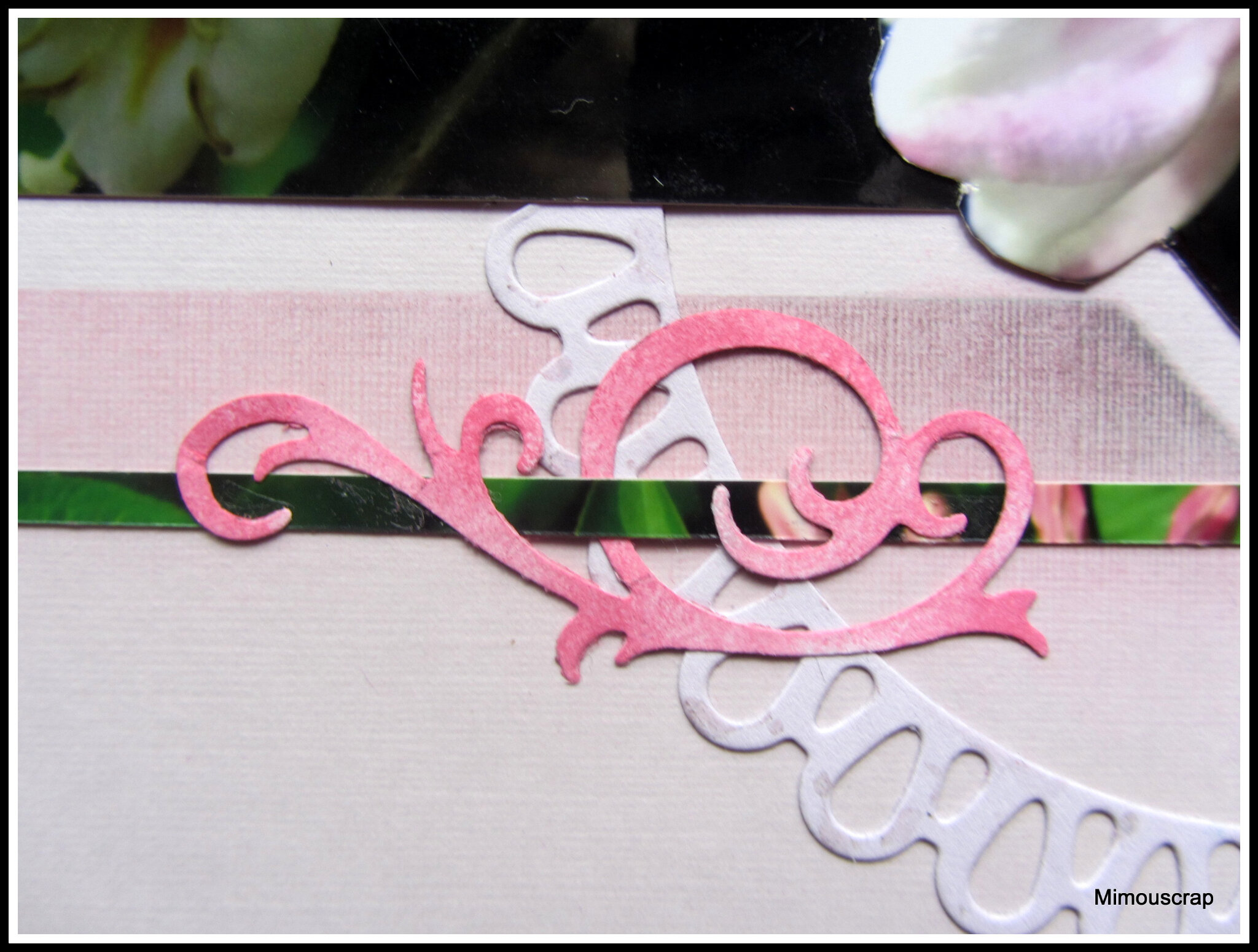 Jardin 2016 044
