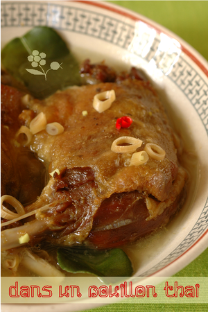 Confit de canard dans un bouillon thaï_2