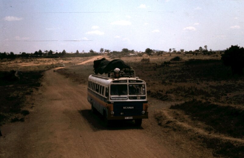 nakuru flamand y